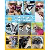 Lewondr Small Dog Decorations Sunglasses UV Protection Goggles Eye Wear Protection with Adjustable Strap Waterproof Pet Sunglasses for Dogs Pet Sun Gl